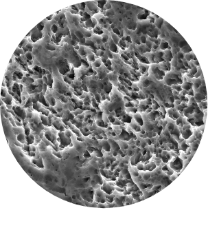 Microscopia 5000x